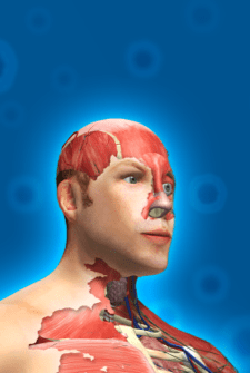 Idle Human