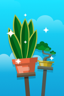 Terrarium